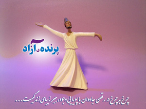 استان البرز باشگاه تخصصی یوگا پرنده آزاد کرج : چرخ به چرخ در رقصی جاودان با پویایی وجود جبر زیبای زندگیست 